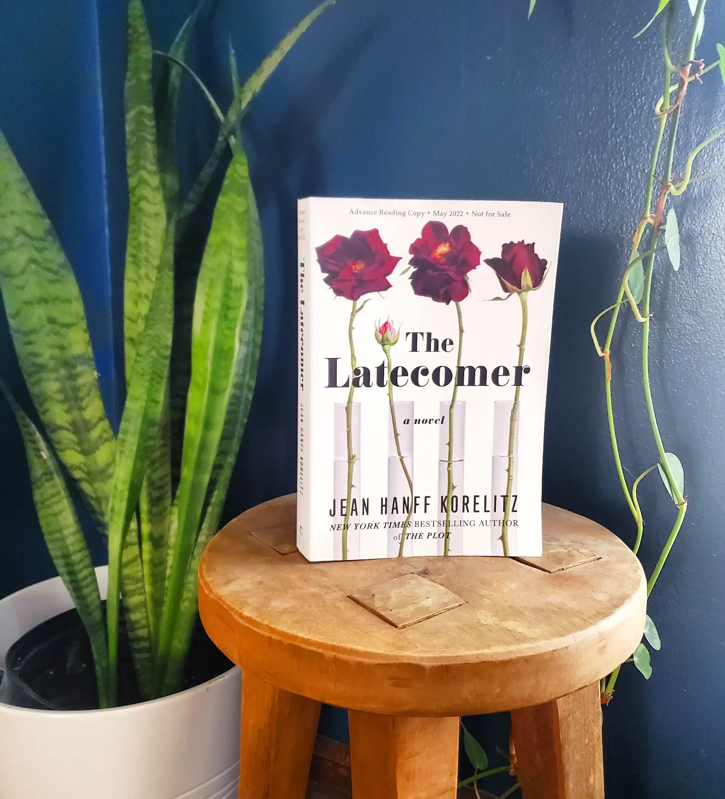 reviews of novel the latecomer